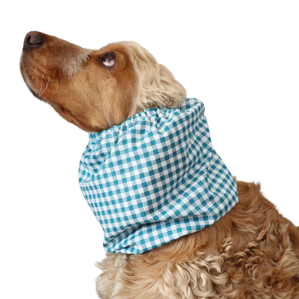 Snood en coton - Distinguish Me