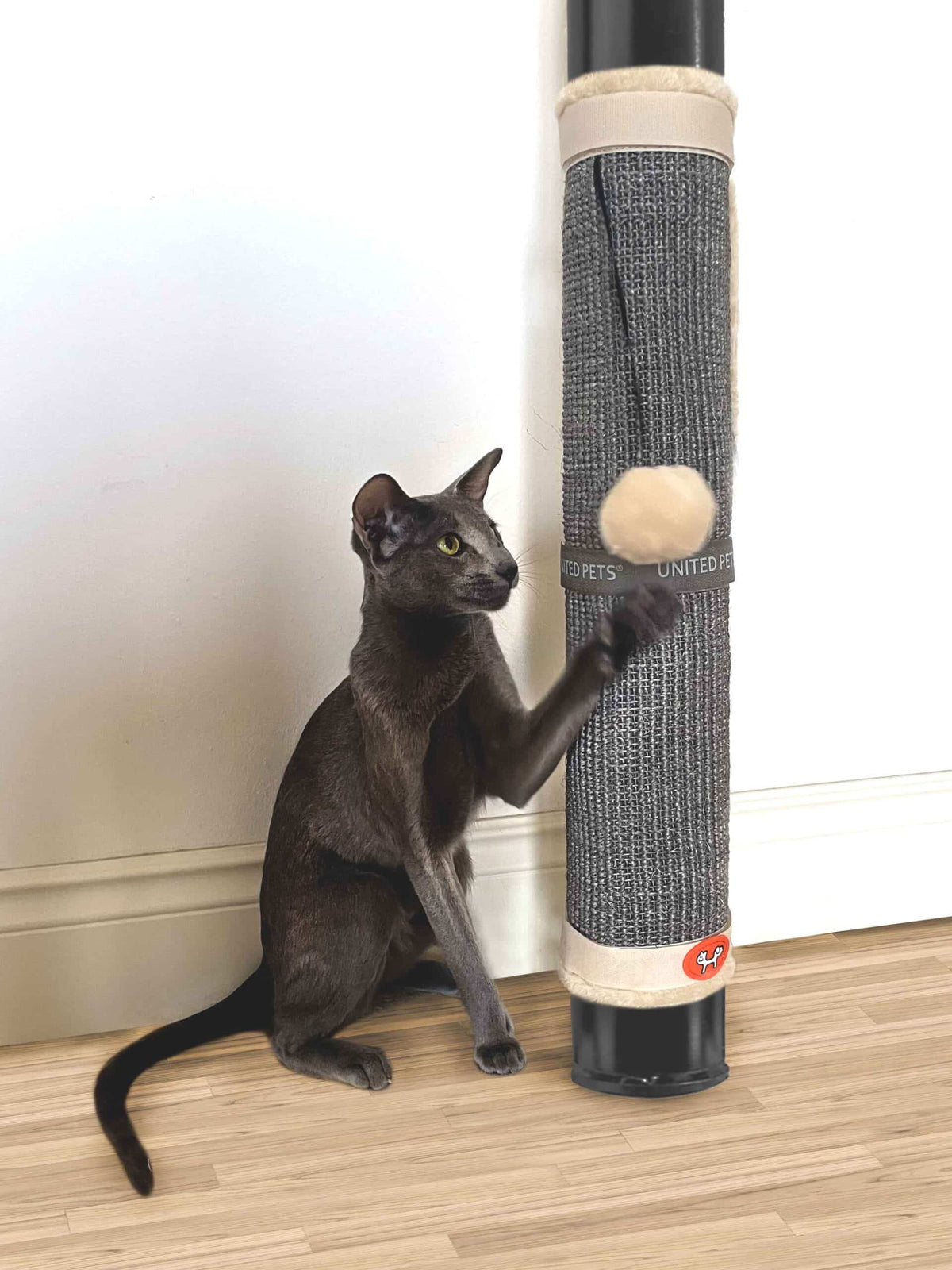 Griffoirs pour pieds de table "Cat Scratcher" - United Pets