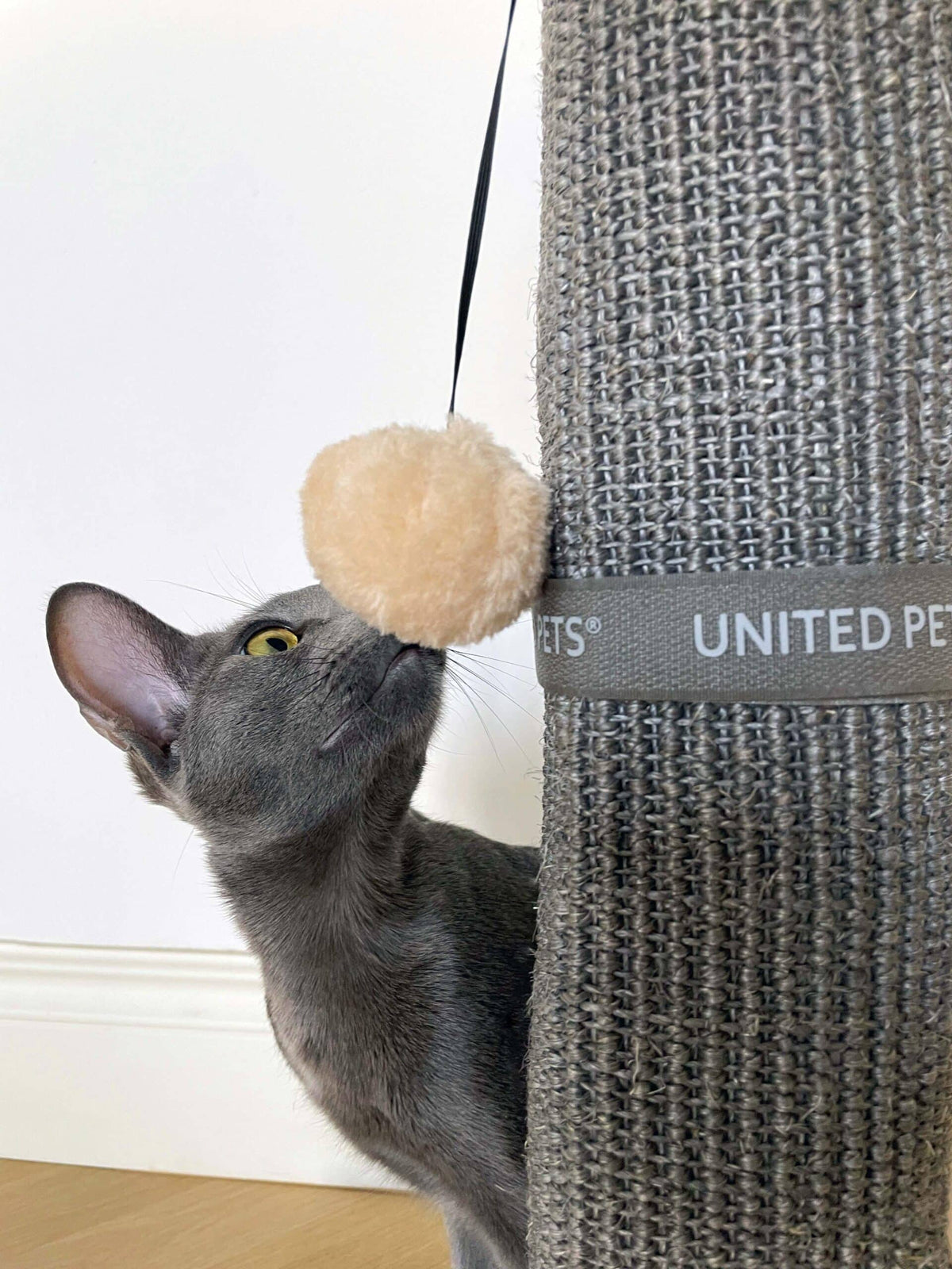 Griffoirs pour pieds de table "Cat Scratcher" - United Pets