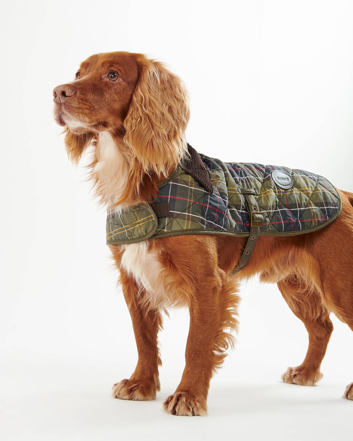 Manteau motif Tartan - Barbour