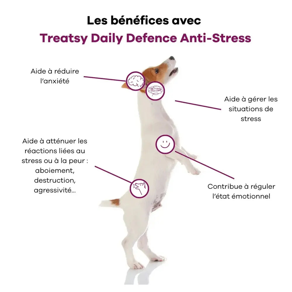 Anti-stress - Treatsy