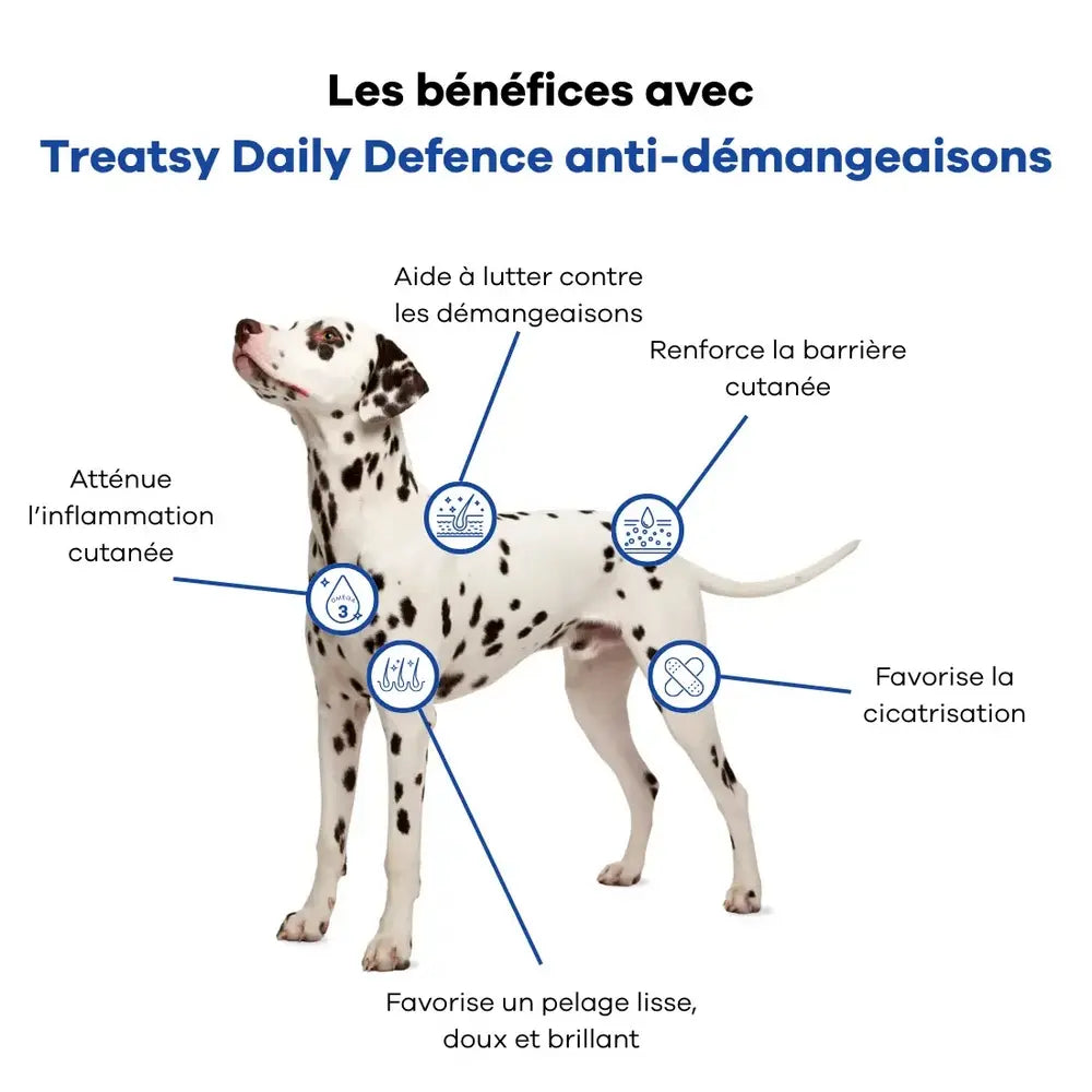 Démangeaisons - Treatsy