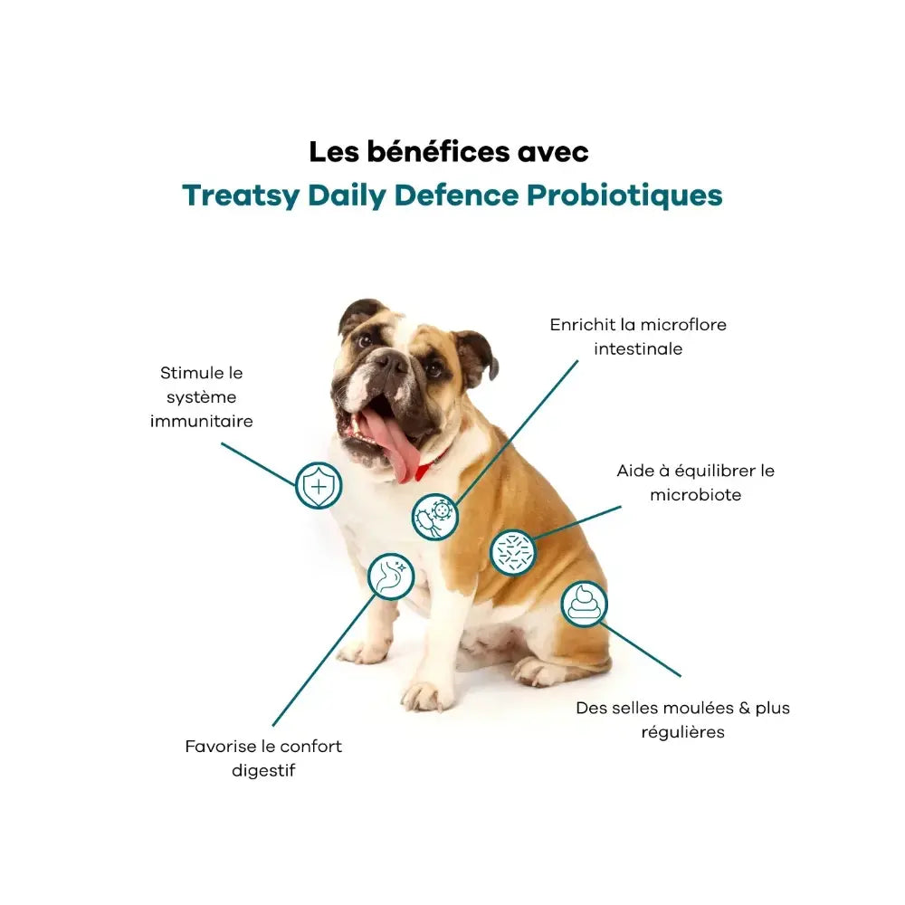 Probiotiques - Treatsy