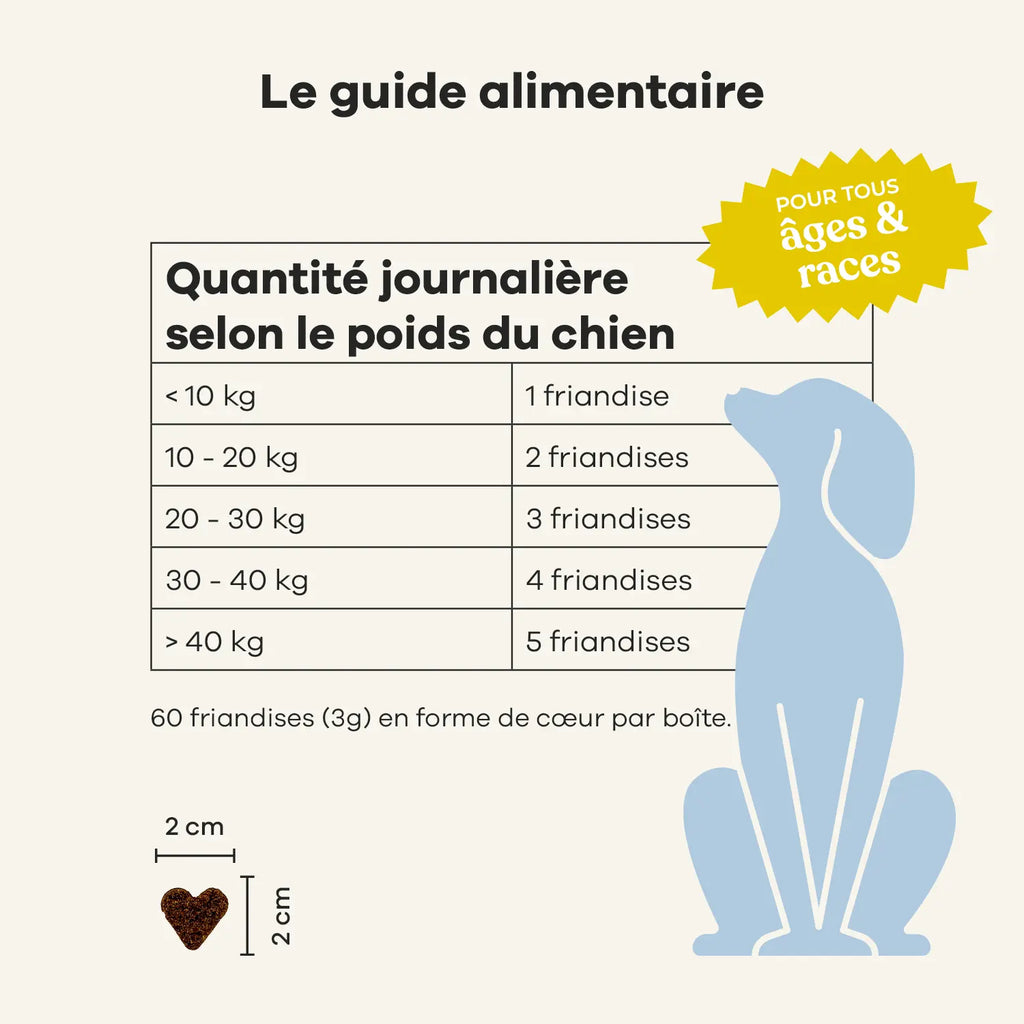 Mobilité - Treatsy