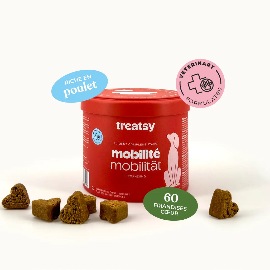 Mobilité - Treatsy