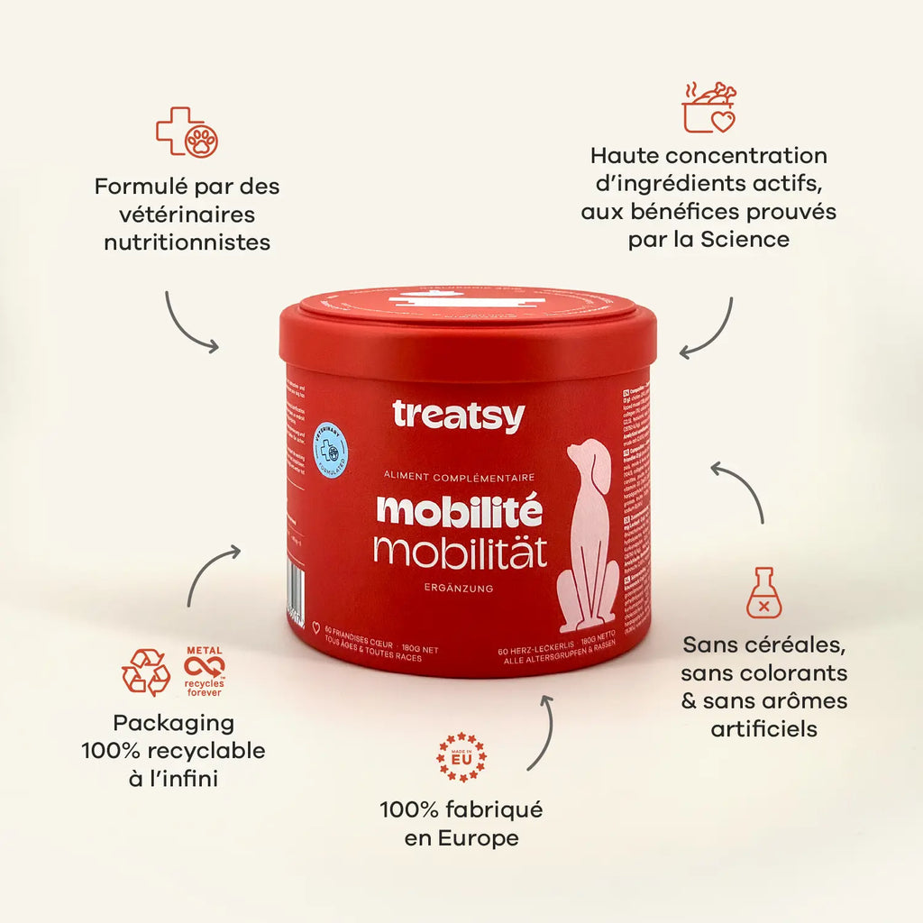 Mobilité - Treatsy