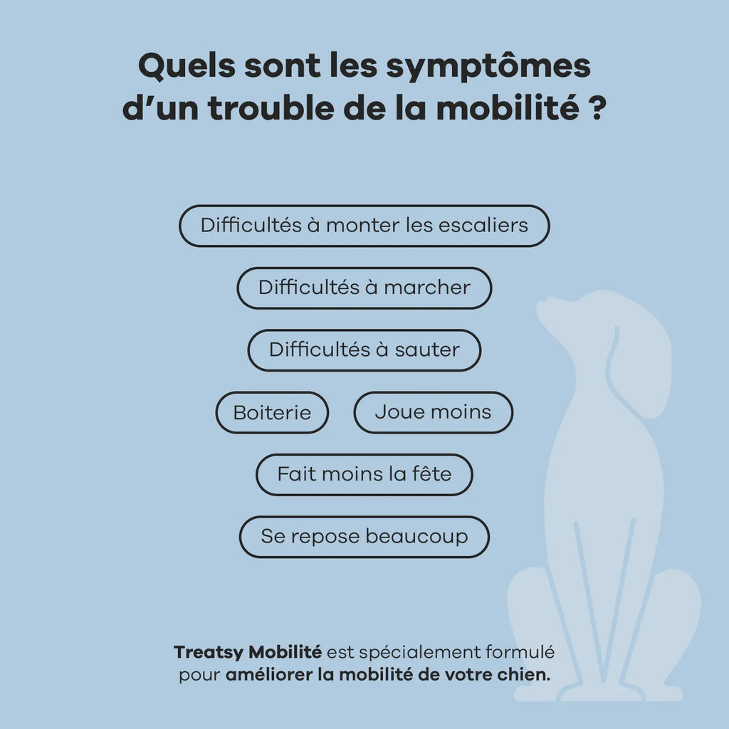 Mobilité - Treatsy