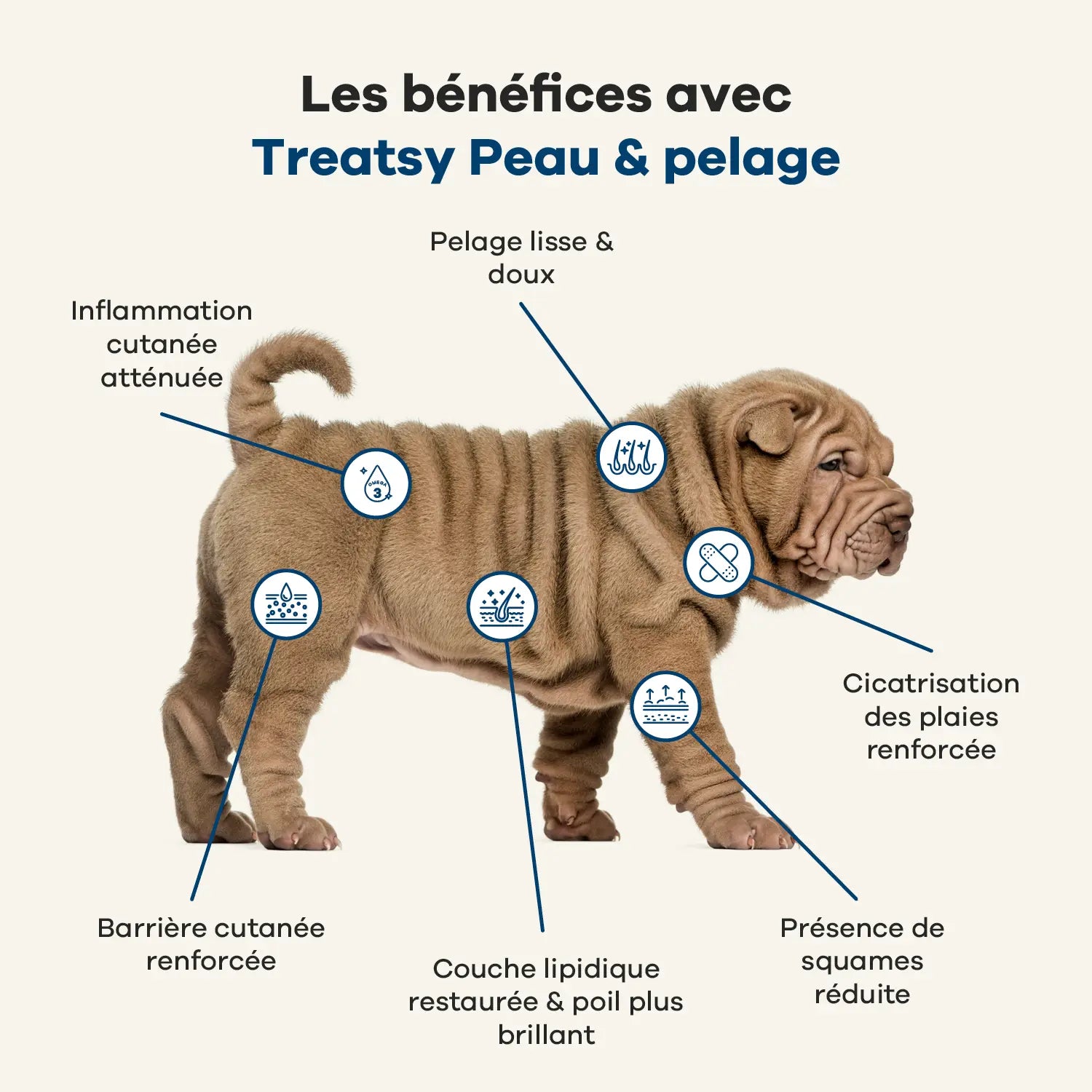 Peau et Pelage - Treatsy