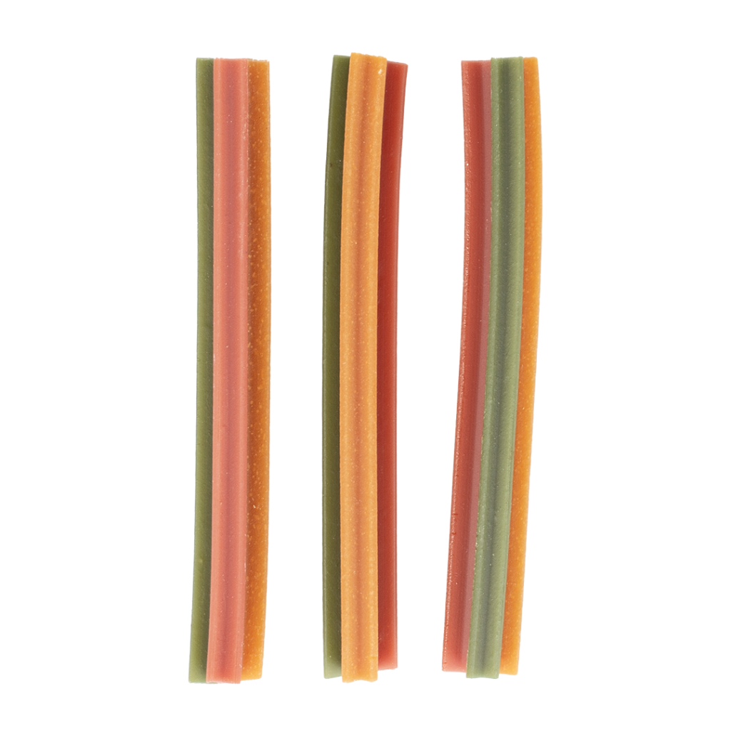 Sticks dentaires fruits - Garden Bites