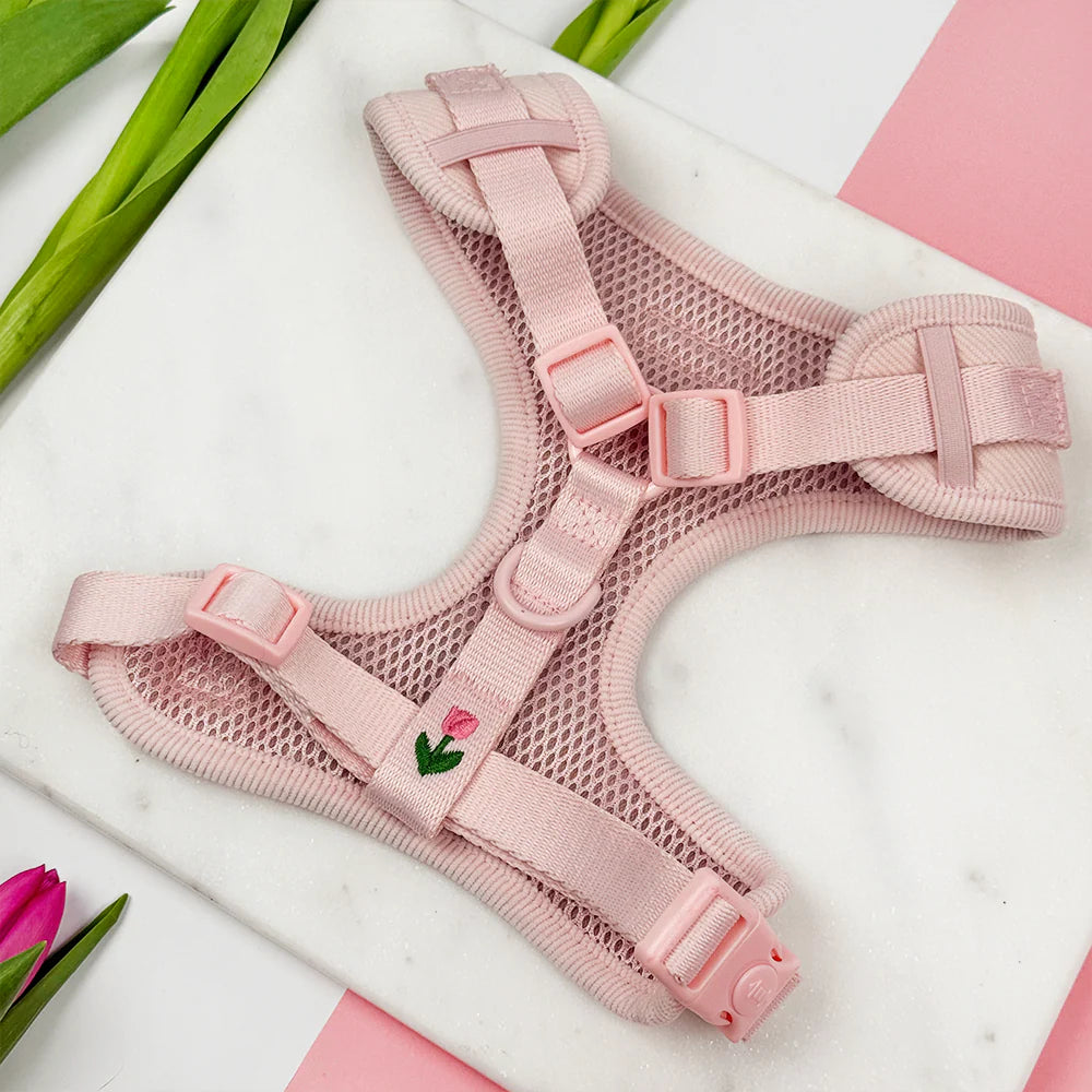 Harnais réglable Tulip Tails - Cocopup London