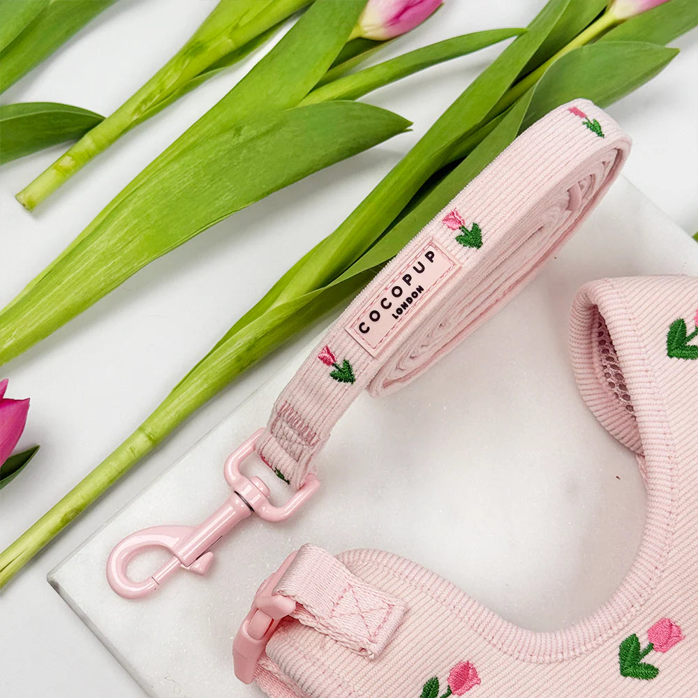 Laisse pour chiot Tulip Tails - Cocopup London