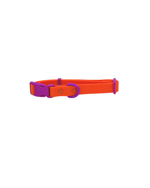 Collier pour chien en silicone - Approved by Fritz