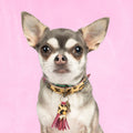 Collier pour chien Lou Lou - Dog With a Mission