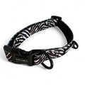 Collier Zebra Essential - Trufois