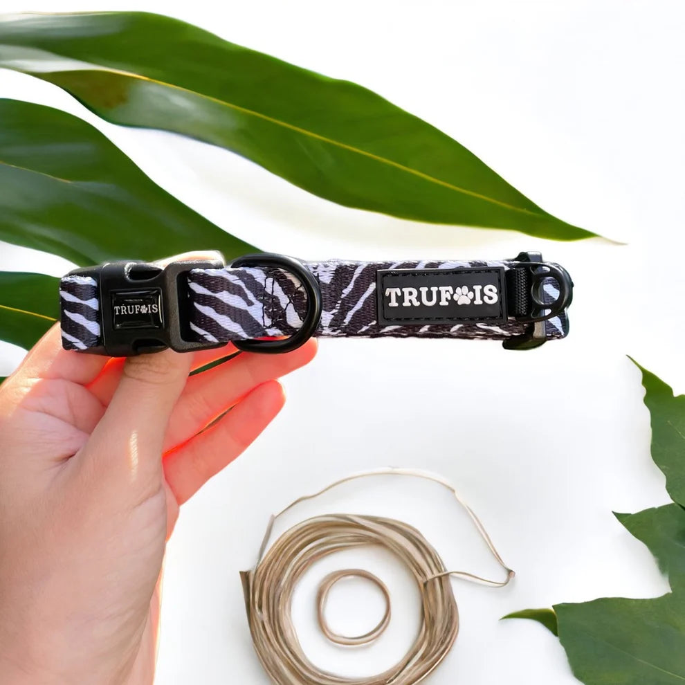 Collier Zebra Essential - Trufois