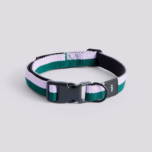 Colliers plats pour chien - Hay