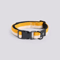 Colliers plats pour chien - Hay