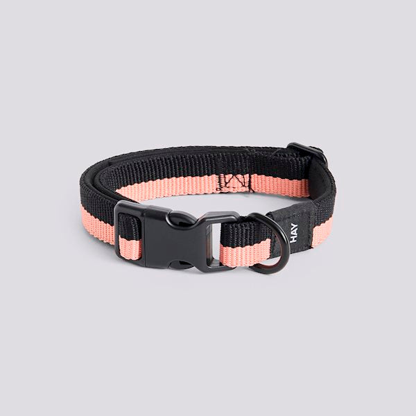 Colliers plats pour chien - Hay