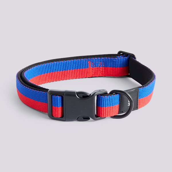 Colliers plats pour chien - Hay