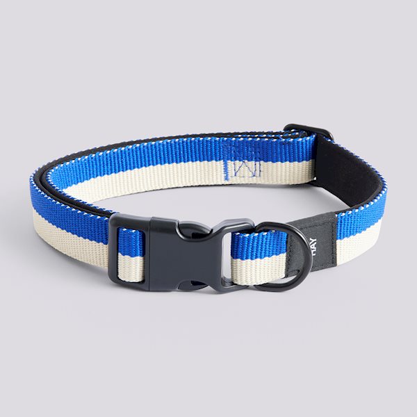 Colliers plats pour chien - Hay