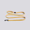 Laisses 160 cm - Hay