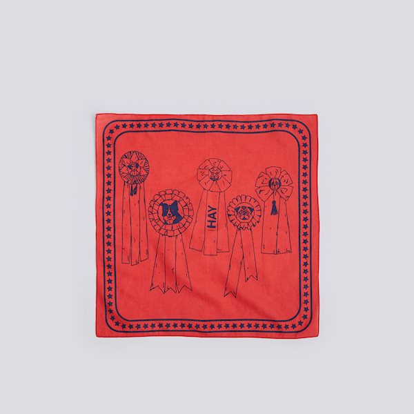 Bandana Echarpe - Hay