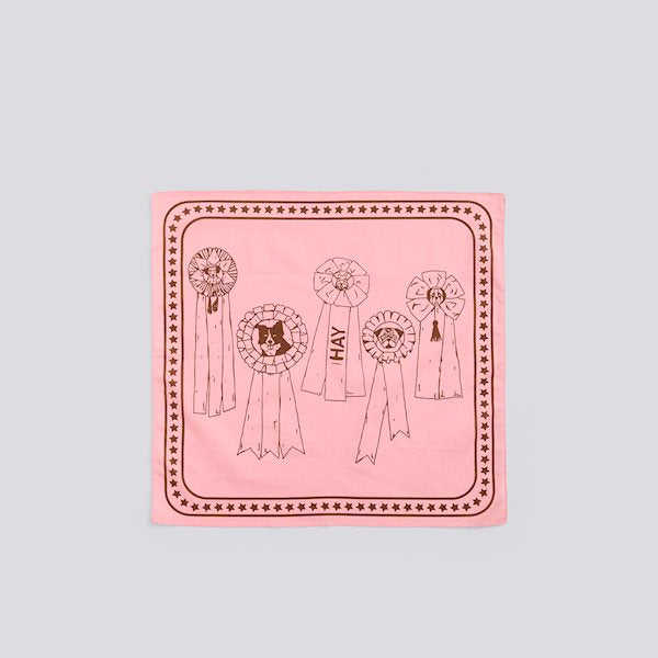 Bandana Echarpe - Hay