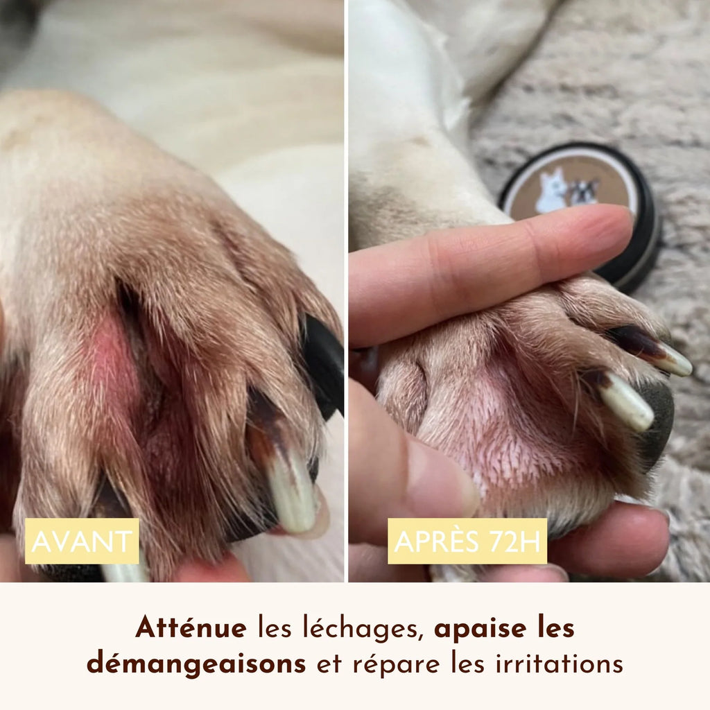 Baume anti démangeaison pour chien - Dexter&Mango