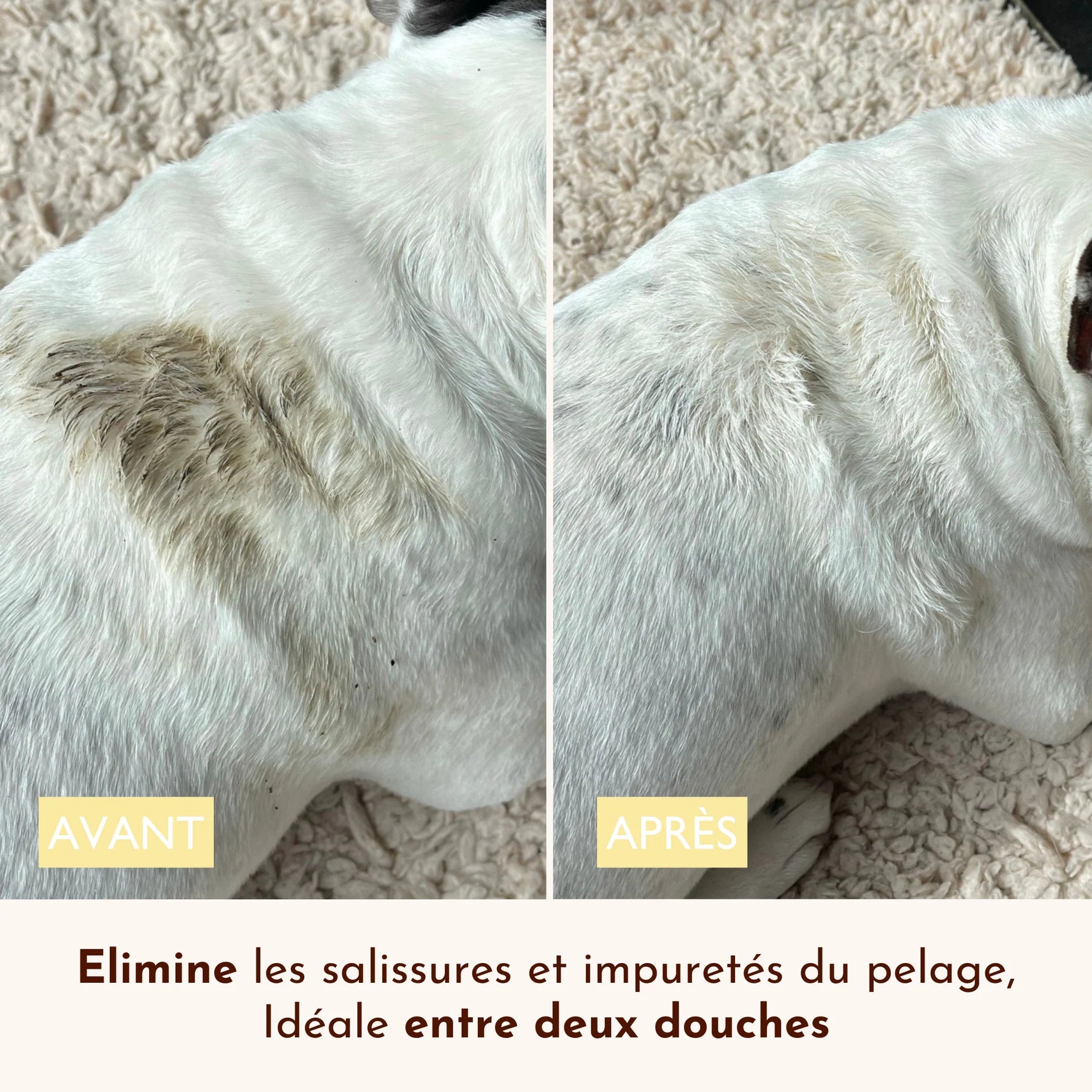 Eau micellaire pour chien nettoyante - Dexter&Mango