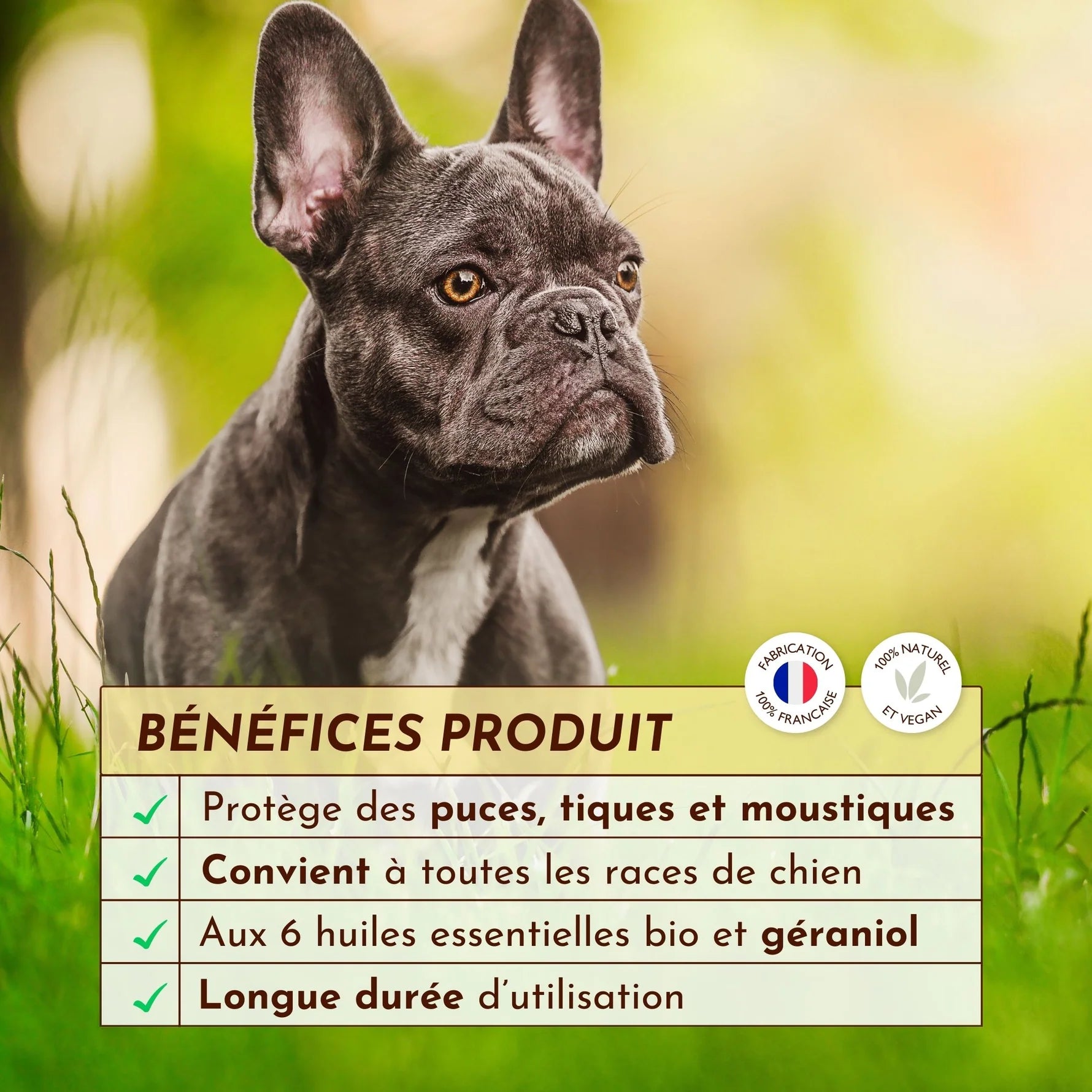 Antiparasitaire pour chien - Dexter&Mango