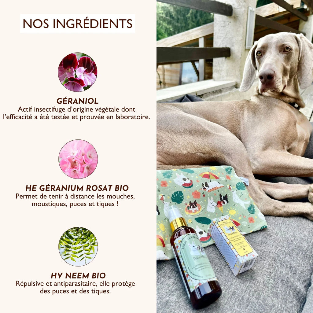 Antiparasitaire pour chien - Dexter&Mango