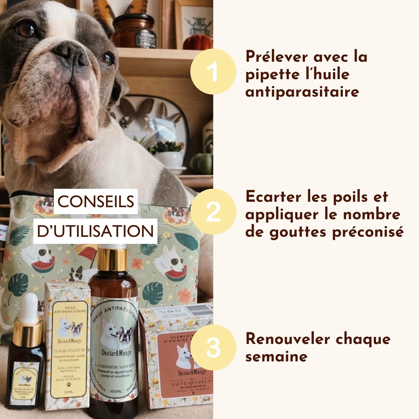 Antiparasitaire pour chien - Dexter&Mango