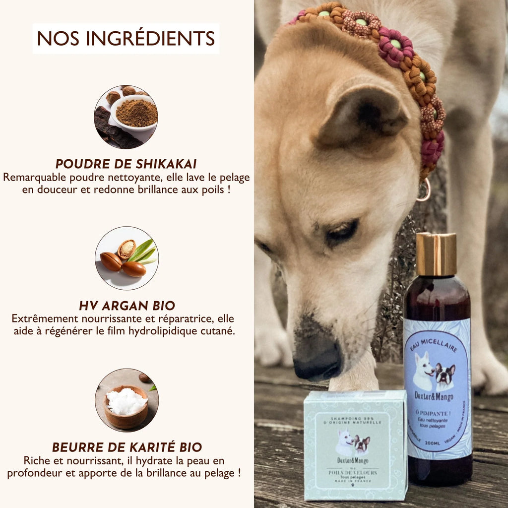 Shampoing solide universel pour chien - Dexter&Mango