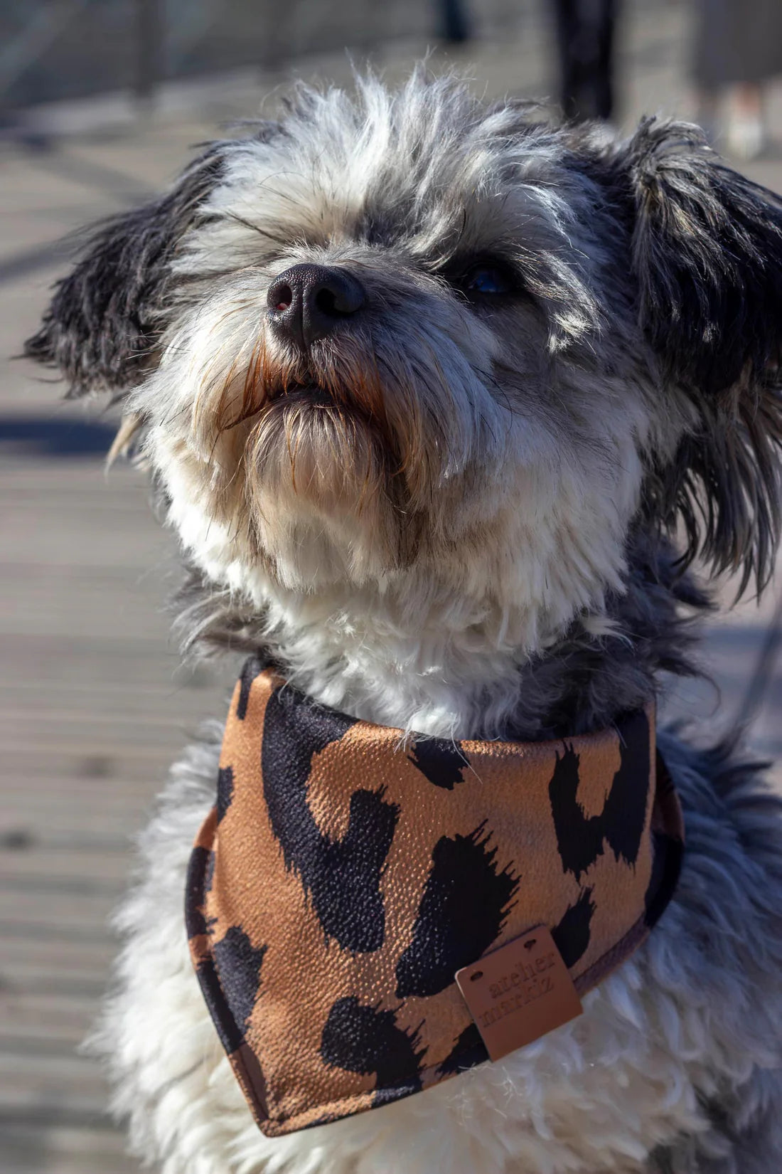 Bandana Wild - Atelier Markiz