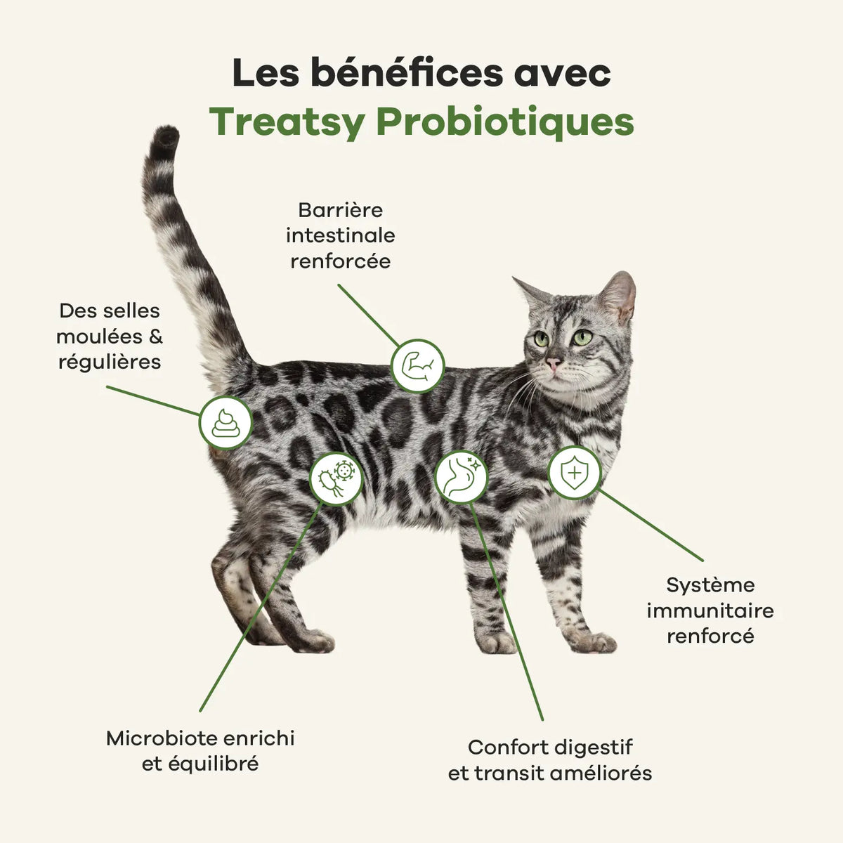 Veterinary Care Probiotiques pour chat - Treatsy
