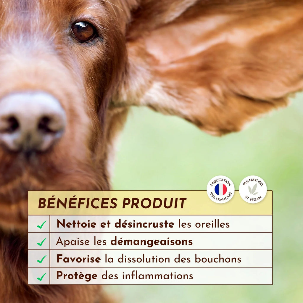Nettoyant oreille chien - Dexter&Mango