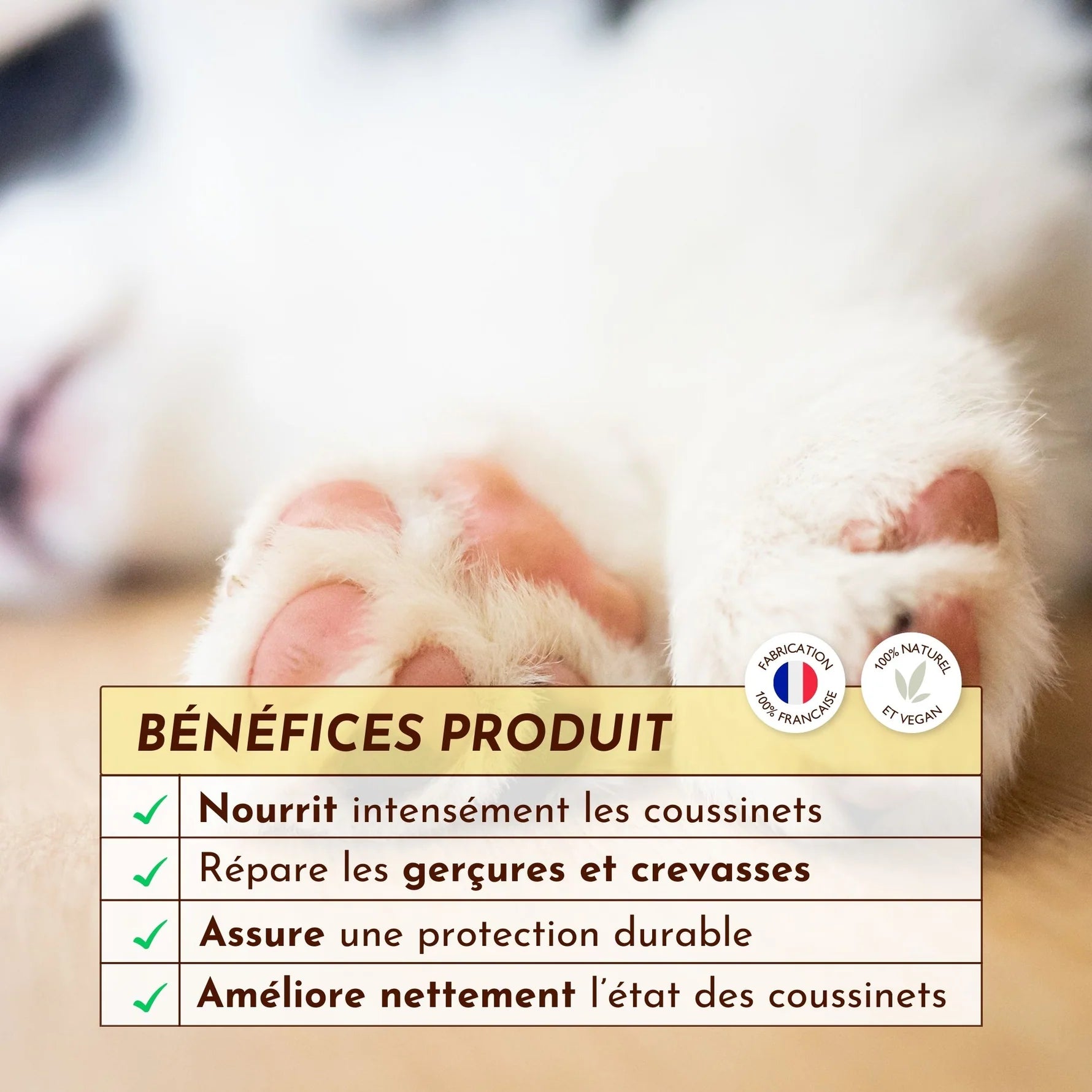 Baume coussinet chien - Dexter&Mango