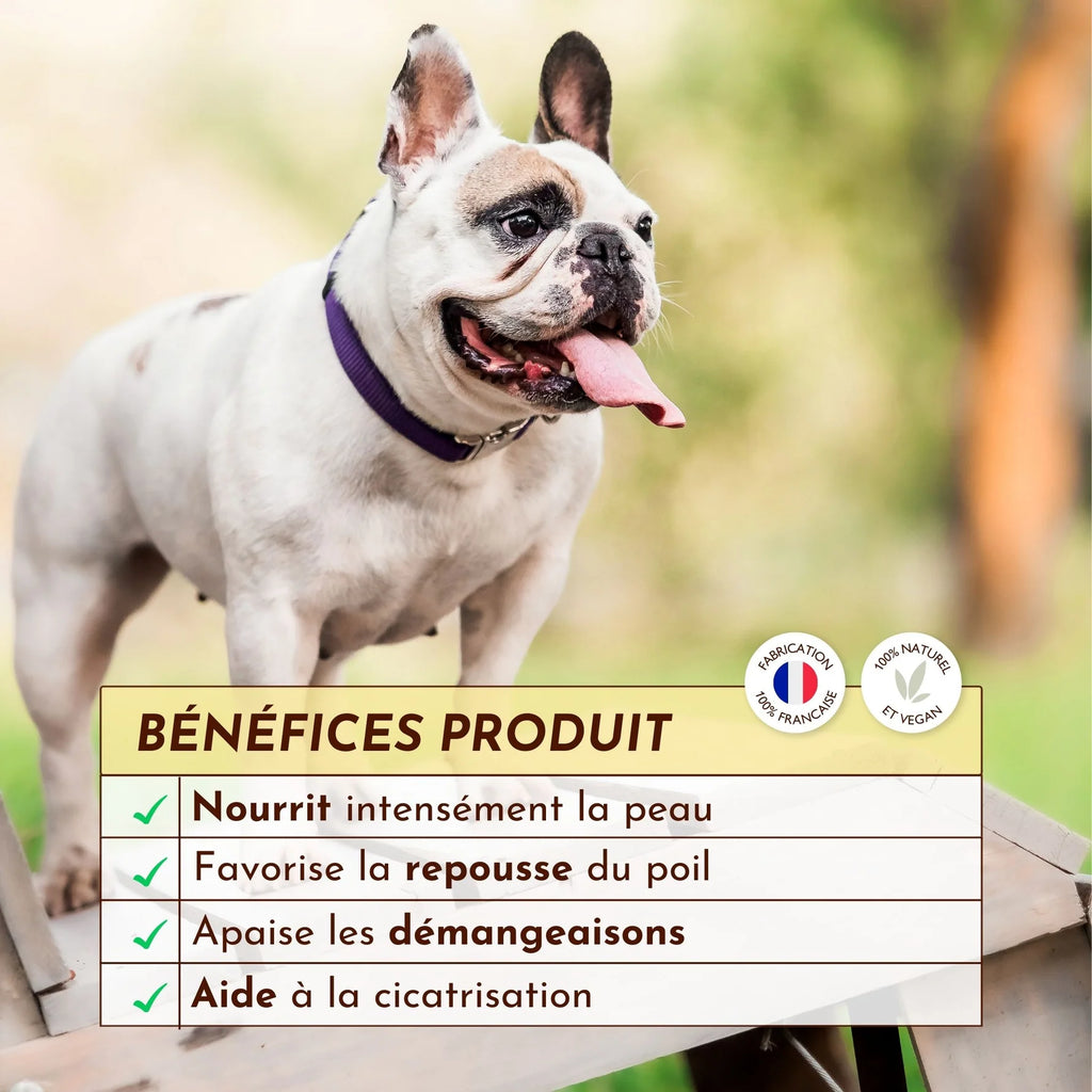 Baume irritation peau du chien - Dexter&Mango