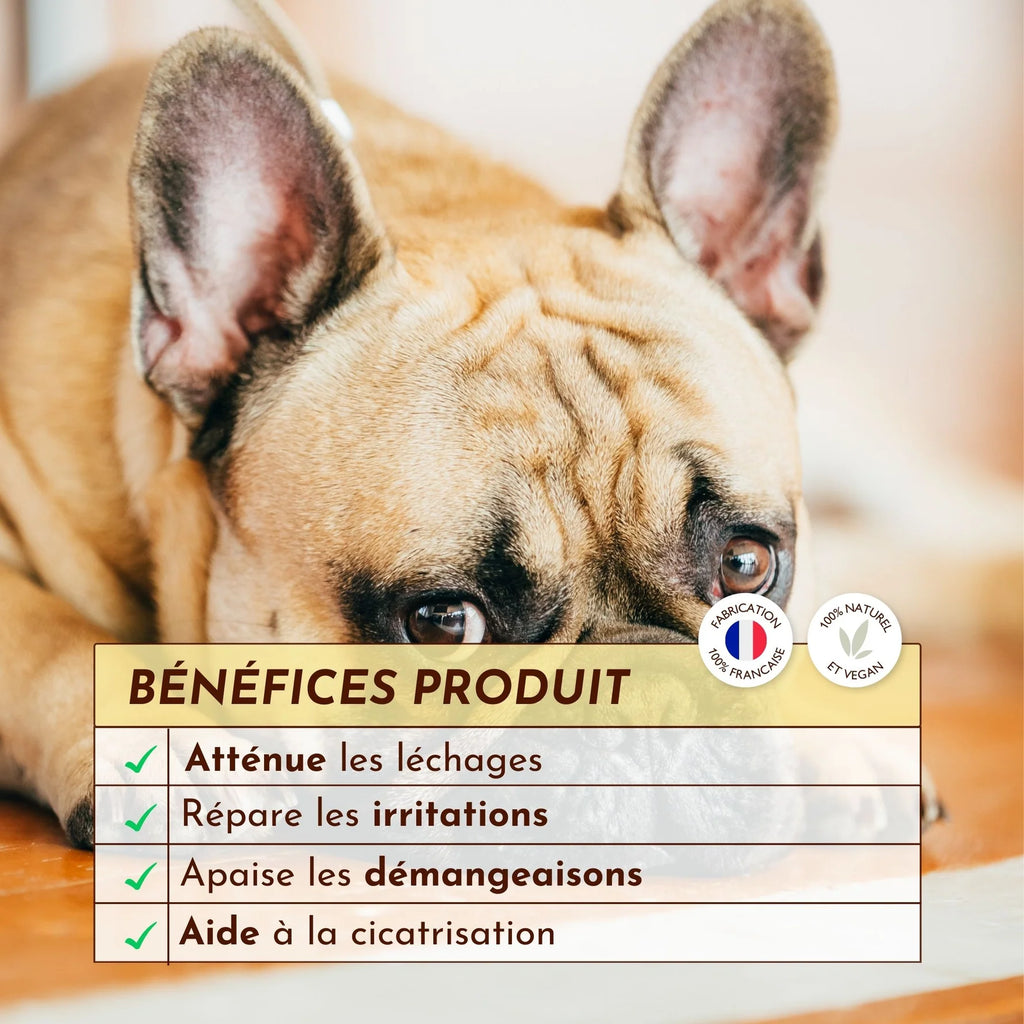 Baume anti démangeaison pour chien - Dexter&Mango