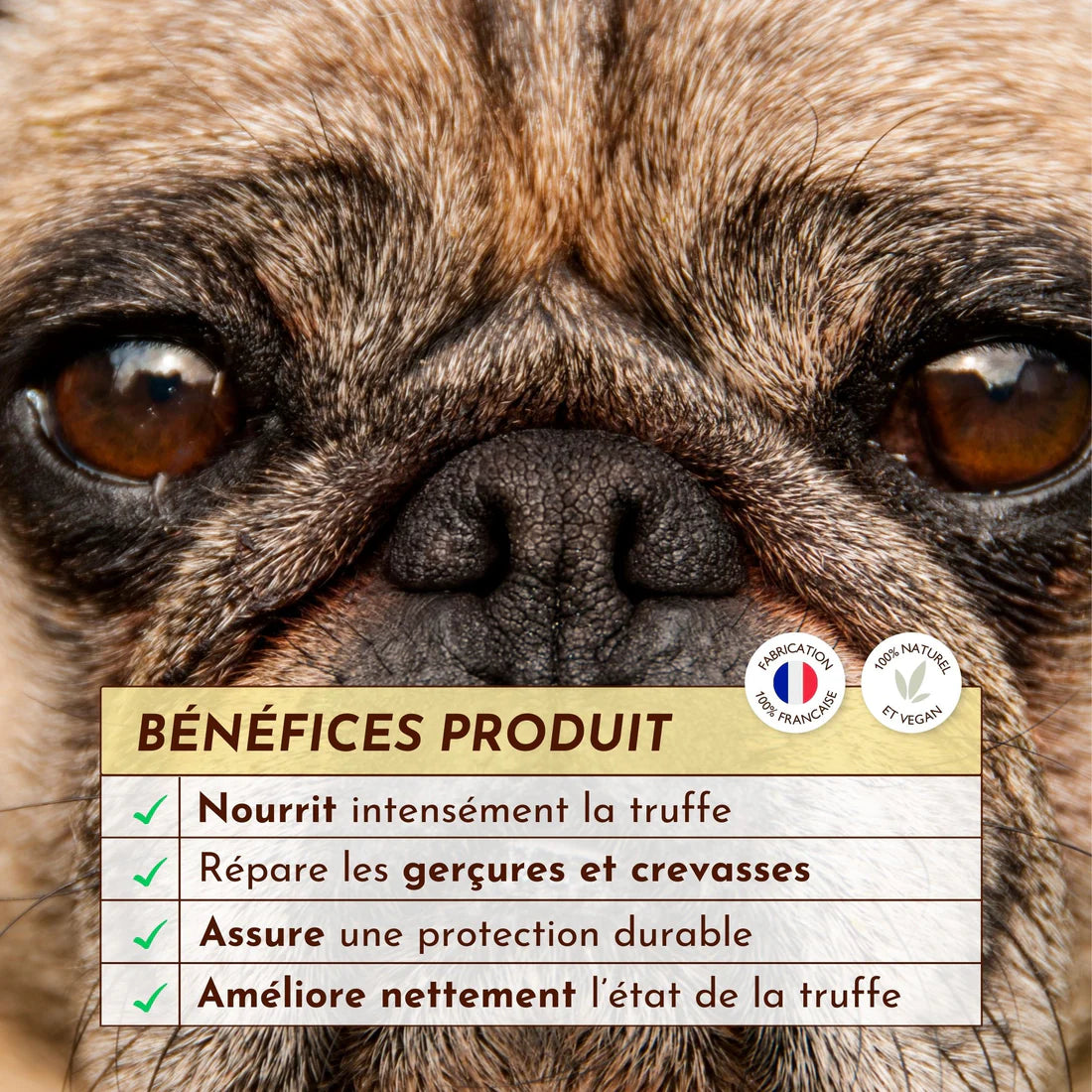 Baume truffe chien - Dexter&Mango