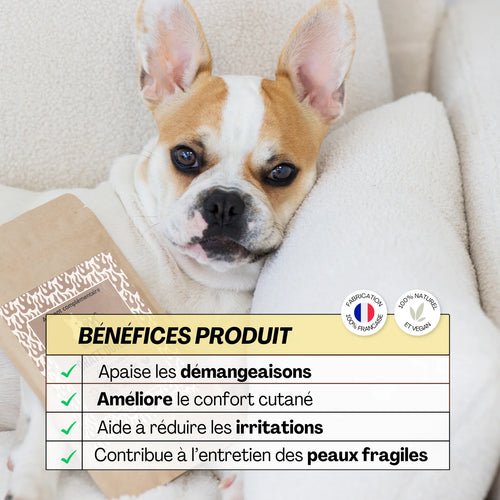 Aliment complémentaire anti-démangeaisons - Dexter&Mango