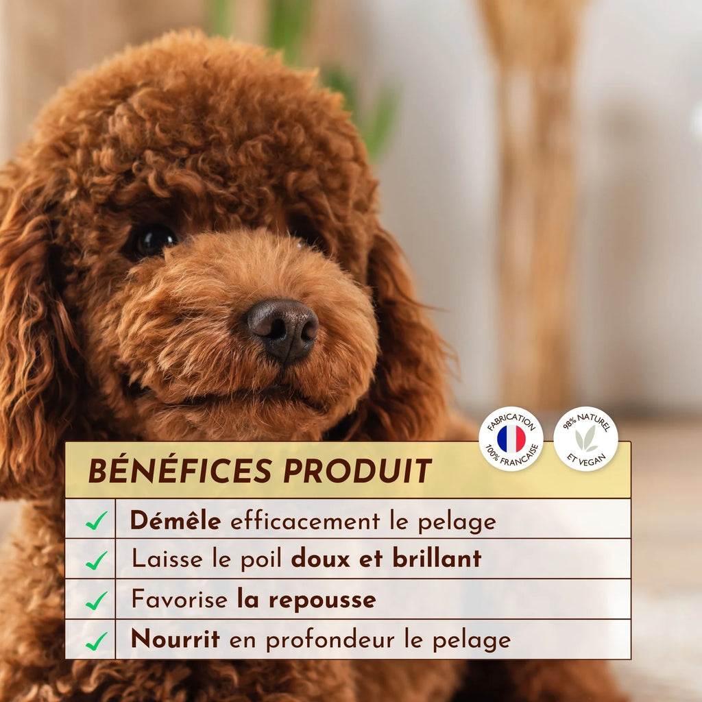 Démélant chien et chat - Dexter&Mango