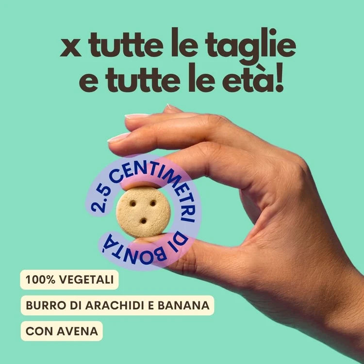 Pop a Biscuit Banane et cacahuète - Jampy