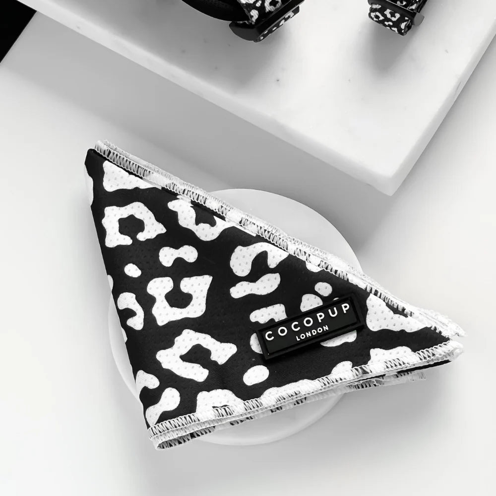 Bandana - Cocopup London