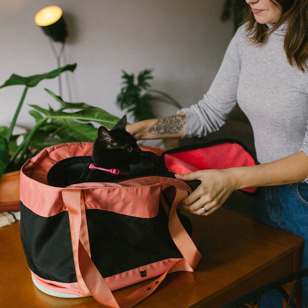 Sac de transport pour chat - zee.cat