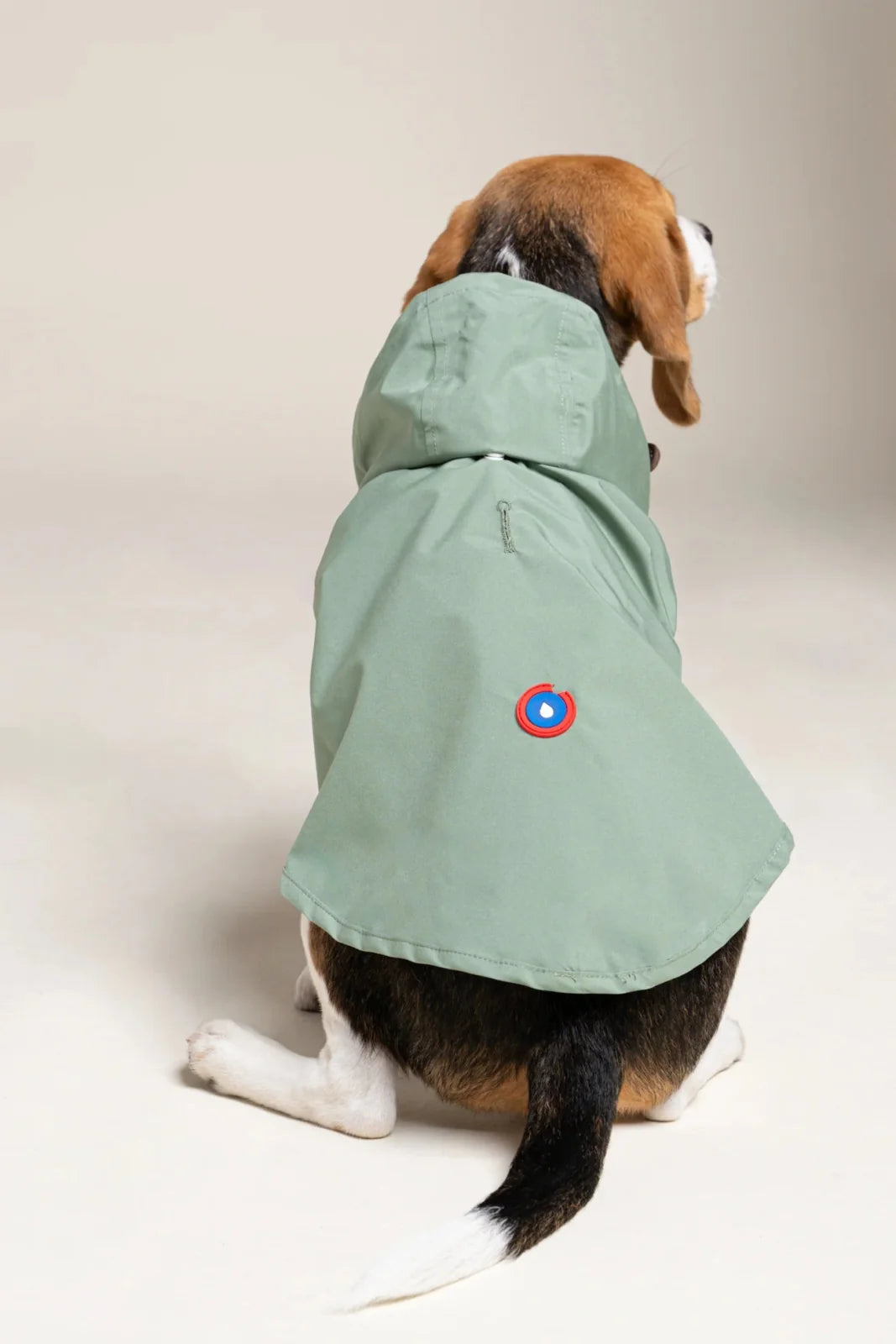 Imperméable pour chien Boulogne - Flotte.