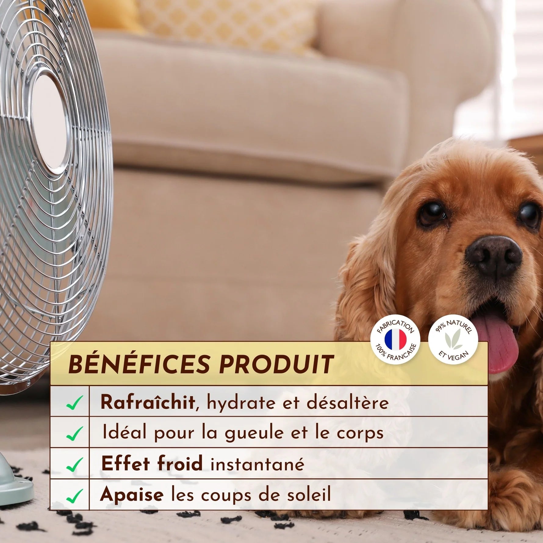 Brume pour chien rafraîchissante - Dexter&Mango