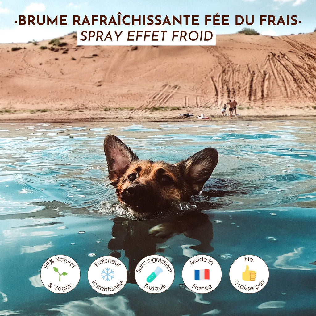 Brume pour chien rafraîchissante - Dexter&Mango