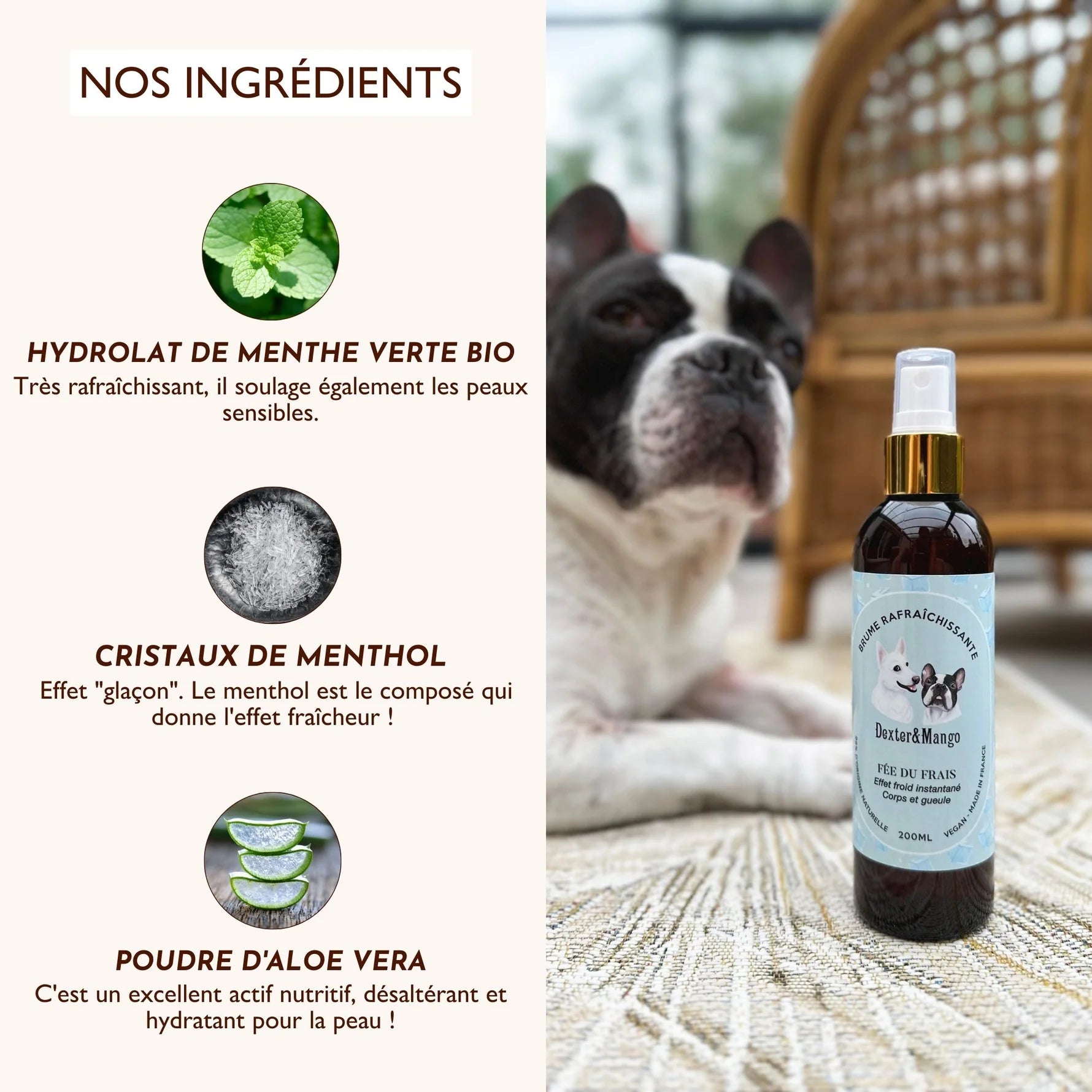 Brume pour chien rafraîchissante - Dexter&Mango