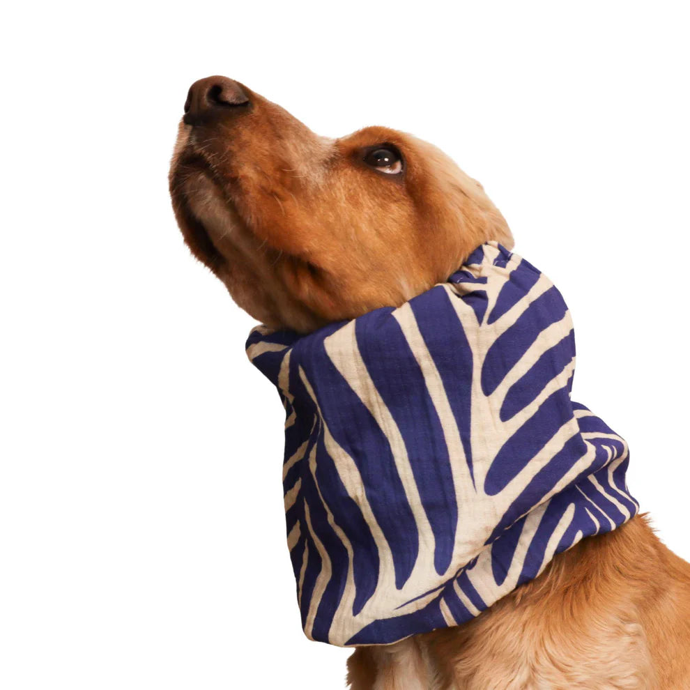 Snood en coton - Distinguish Me